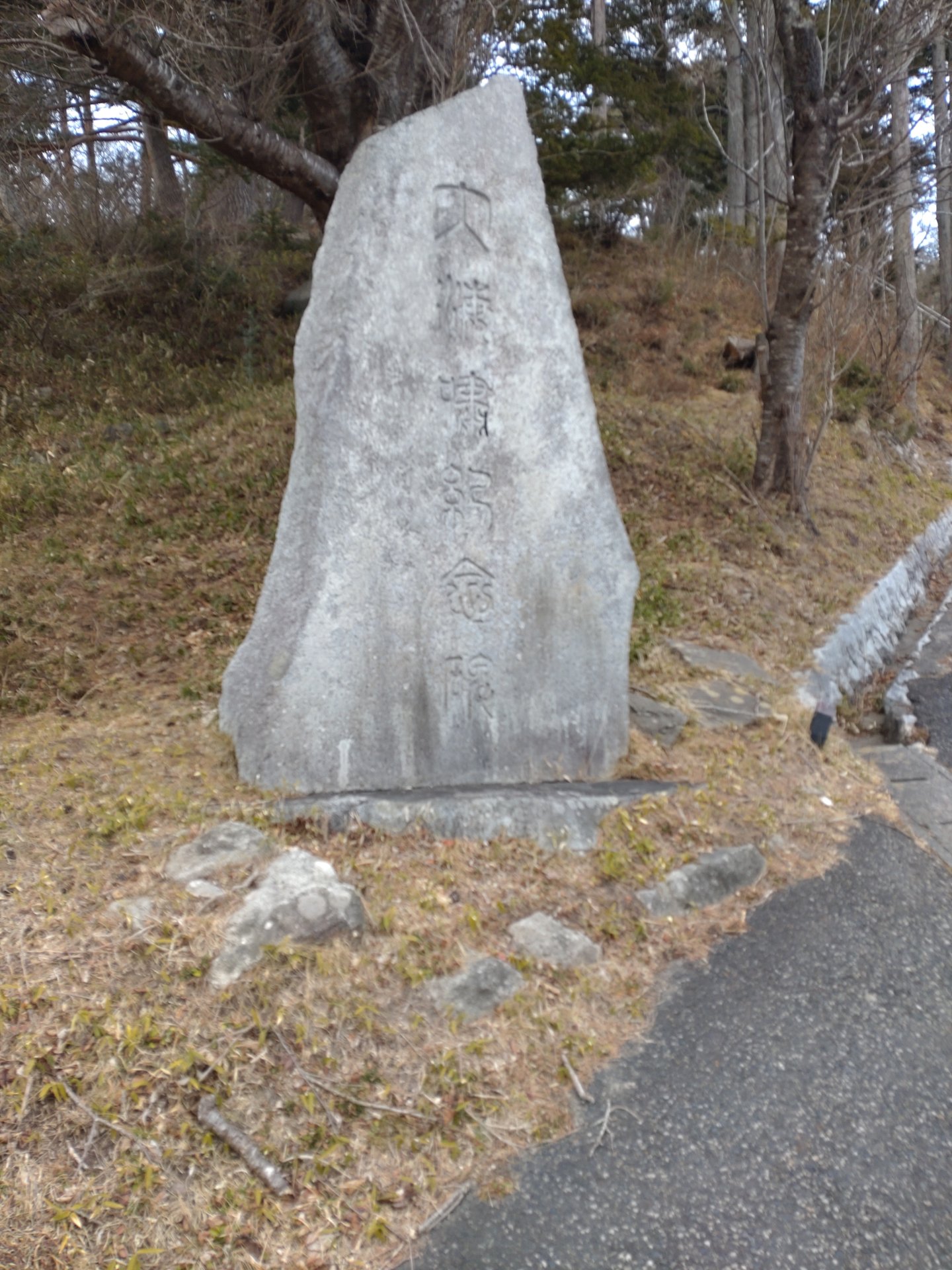 大海嘯記念碑（織笠・明治）の写真