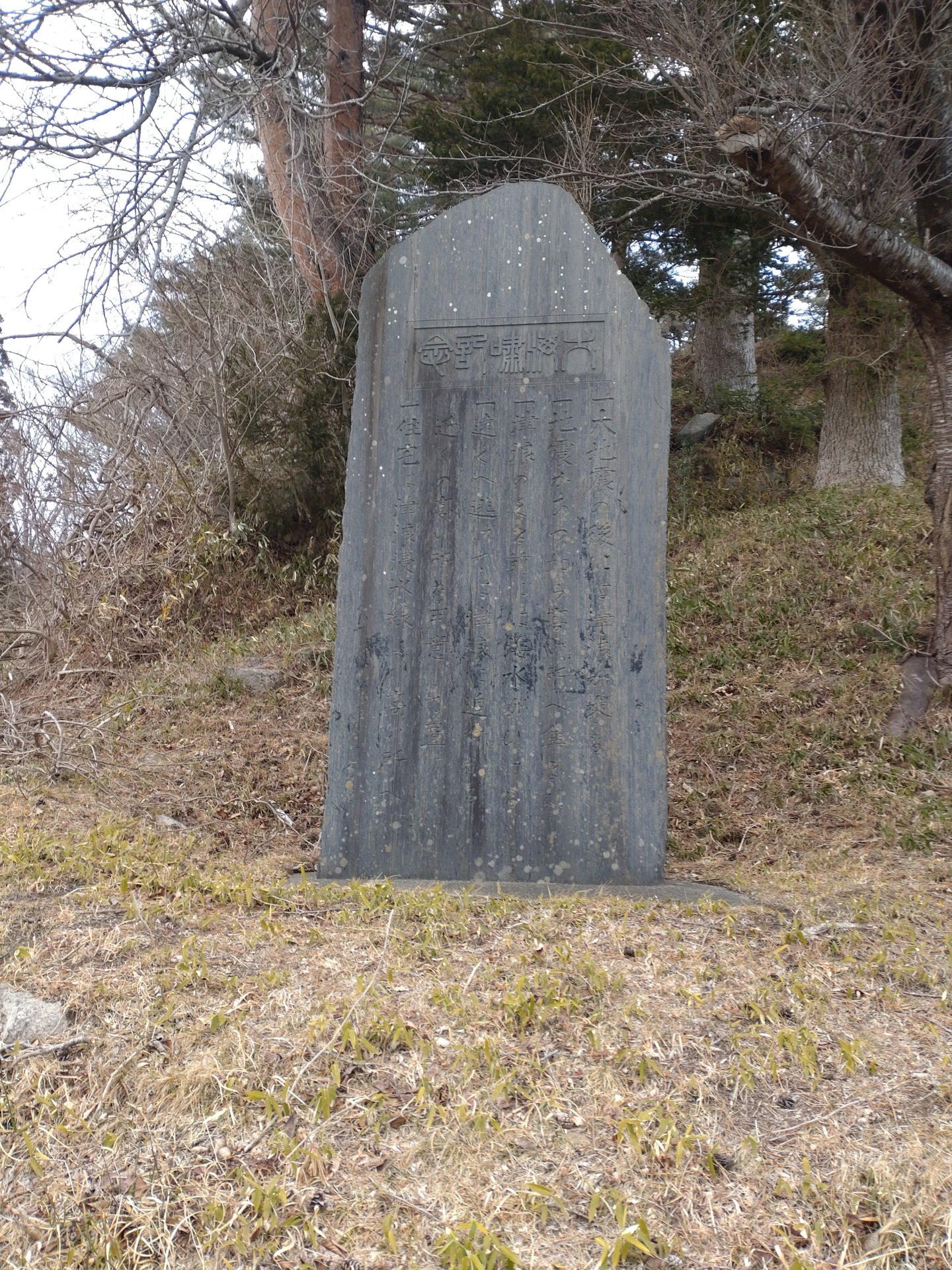 大海嘯記念碑（織笠・昭和）の写真