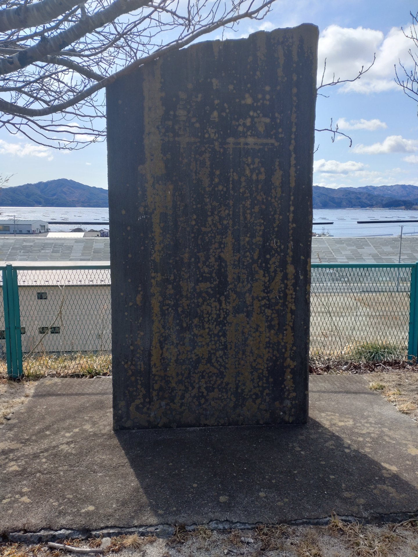 大海嘯記念碑（大沢・昭和）の写真