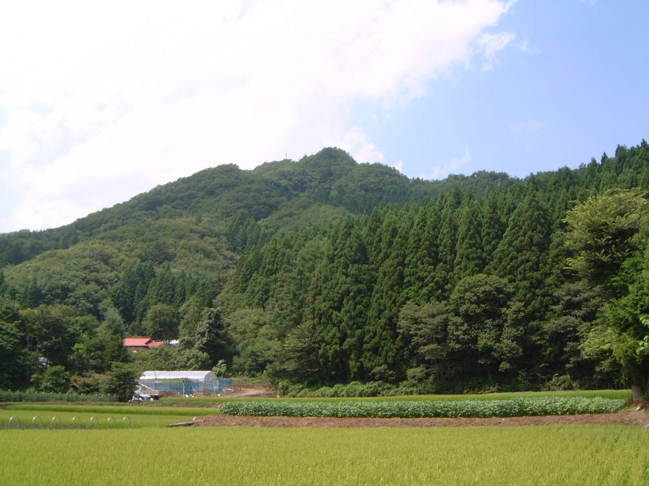 曽伊舘の写真