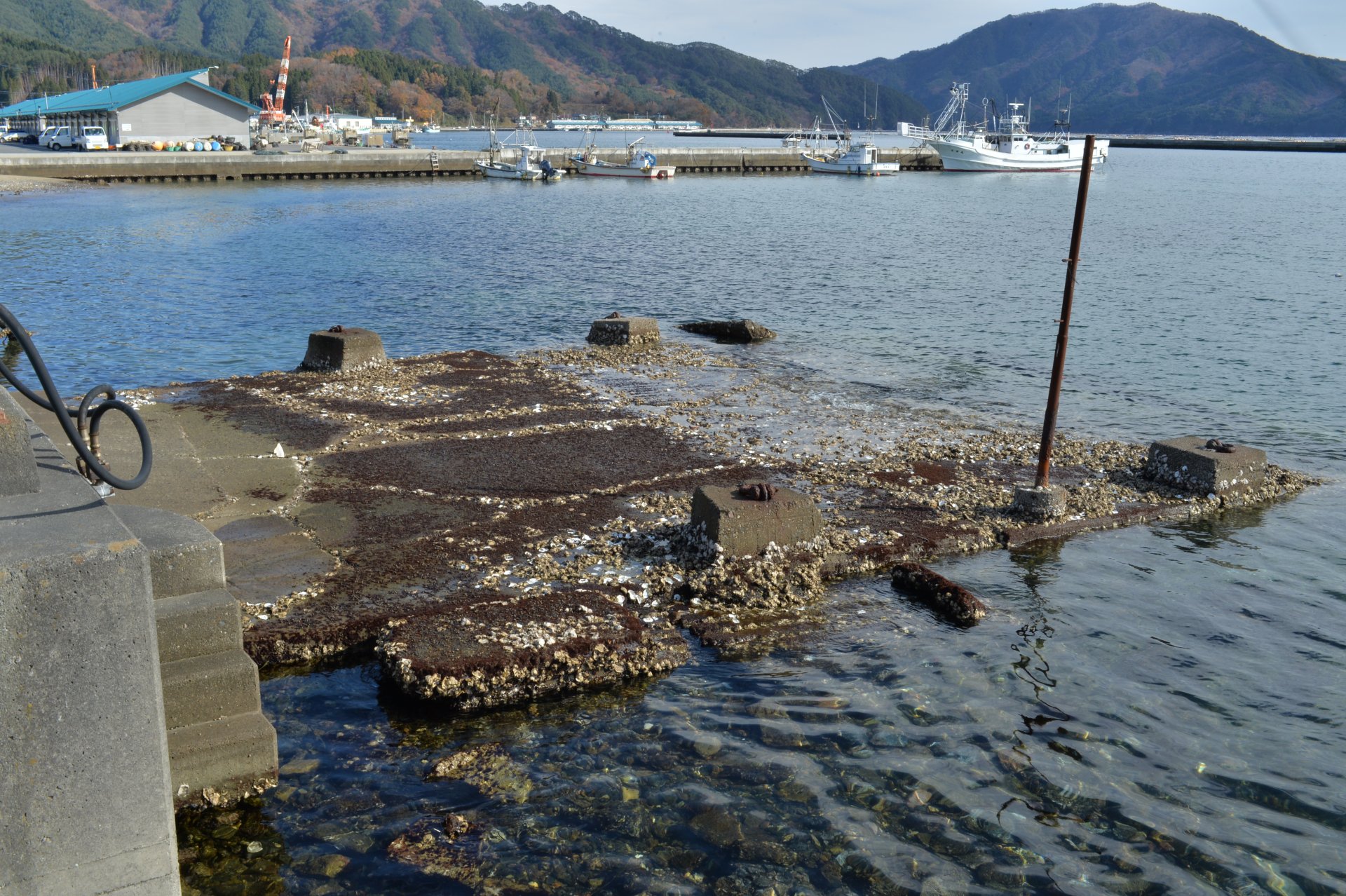 関連文化財の写真