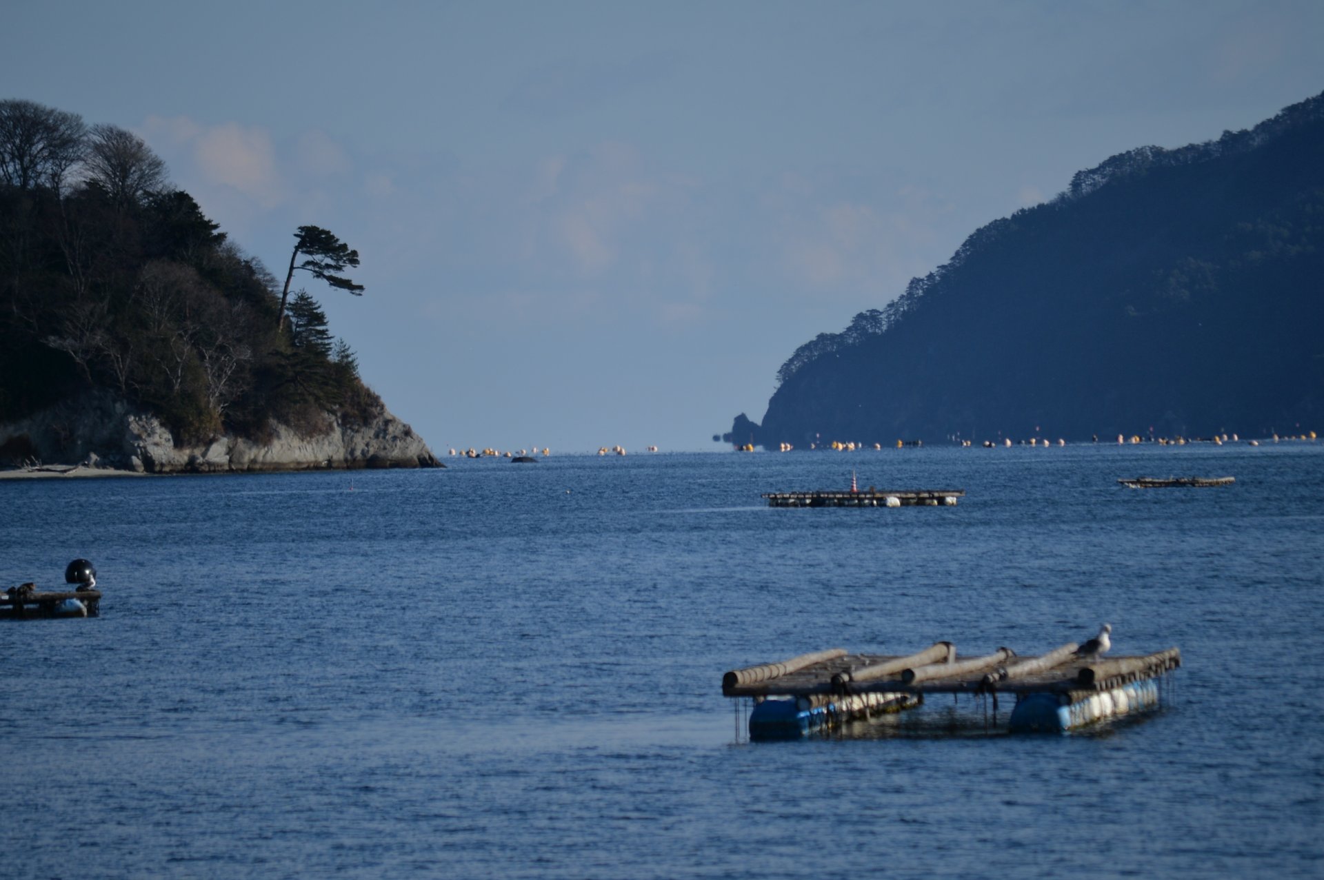 蜃気楼（山田湾口）の写真