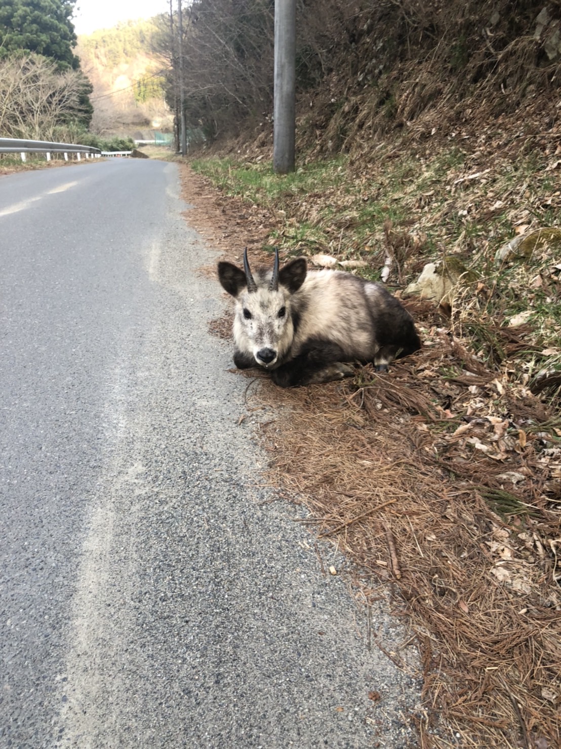 関連文化財の写真